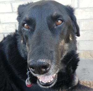 Bernie