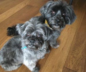 Tobi and Cibelle