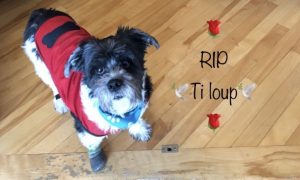 Ti-Loup