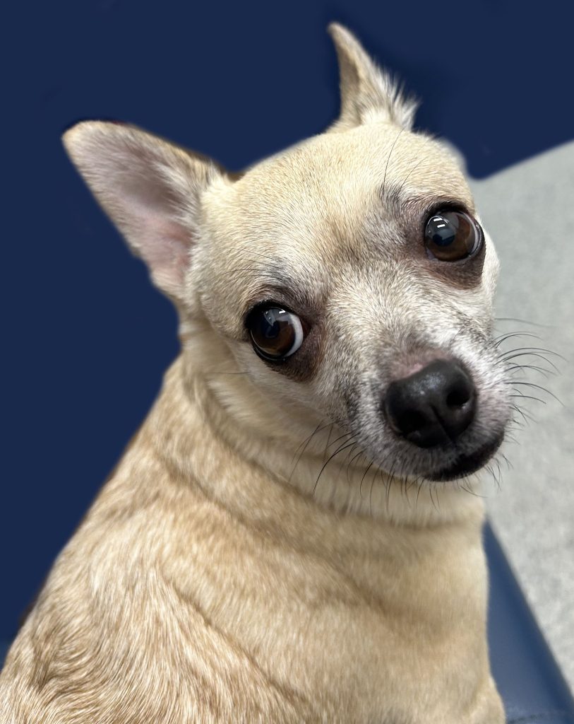 518274992 1034925492131474 4818998968489916819 n