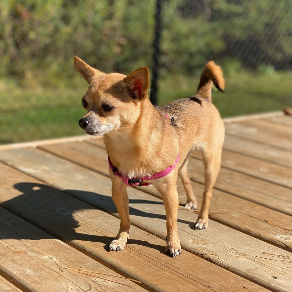 Ivy sun full body