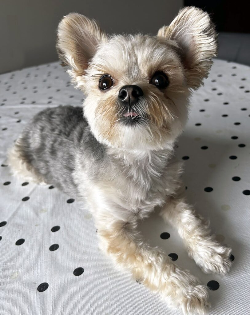 8957d4e8 e730 4c26 b879 5924c5e40090