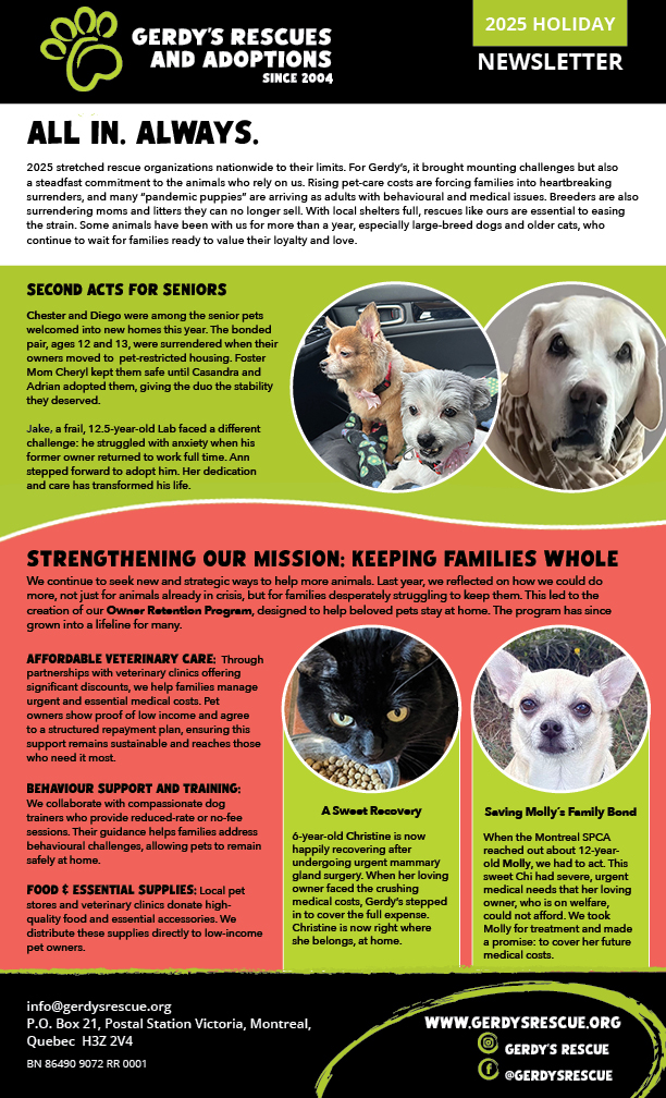 Gerdy's 2025 holiday newsletter