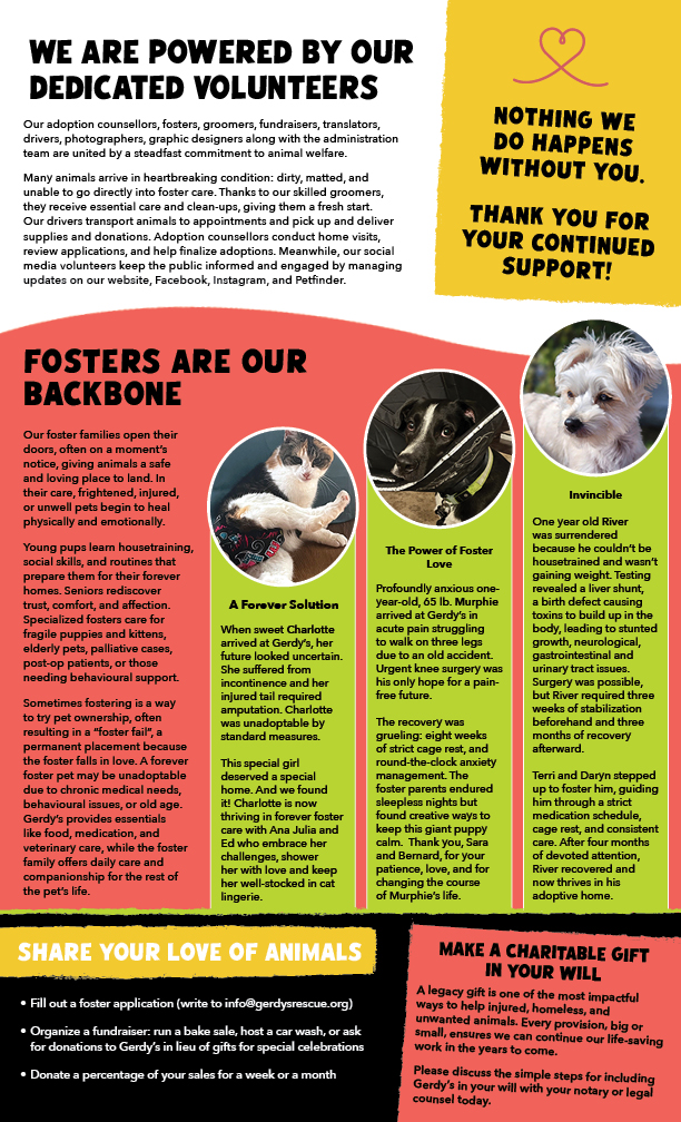 Gerdy's 2025 holiday newsletter2