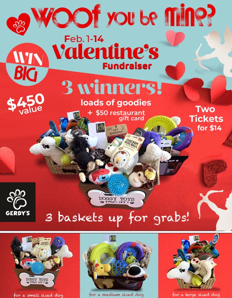 Valentine's baskets