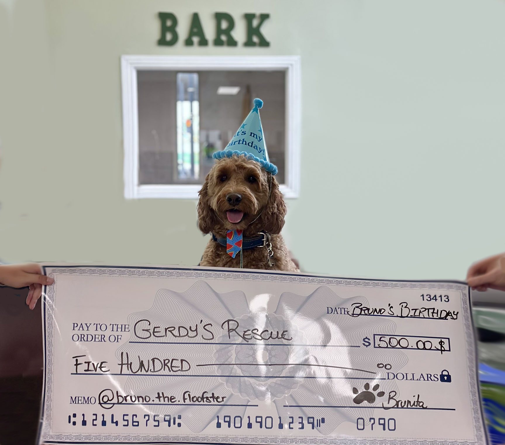 Brunos Birthday donation