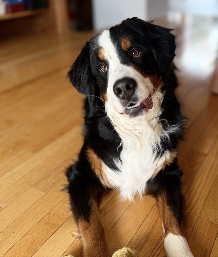 Bean head tilt