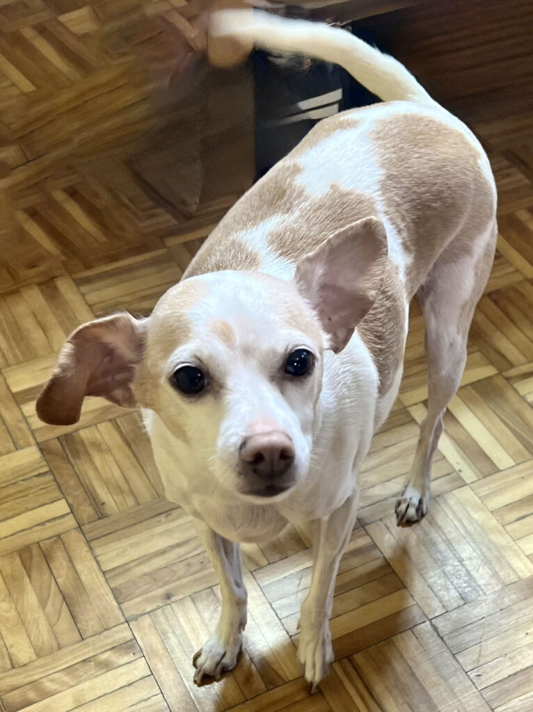 Coco