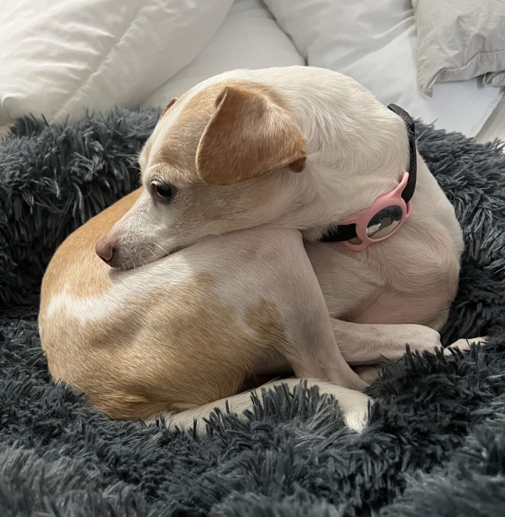 Coco yoga