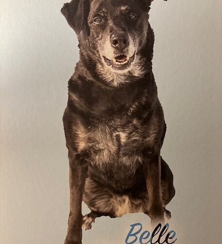 Belle