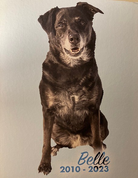Belle