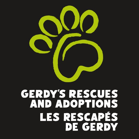 Gerdy's Logo