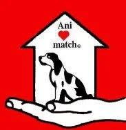 Animatch
