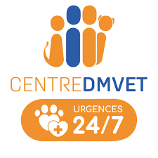 Dmv