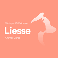 Liesse