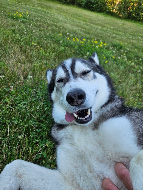 Alaska