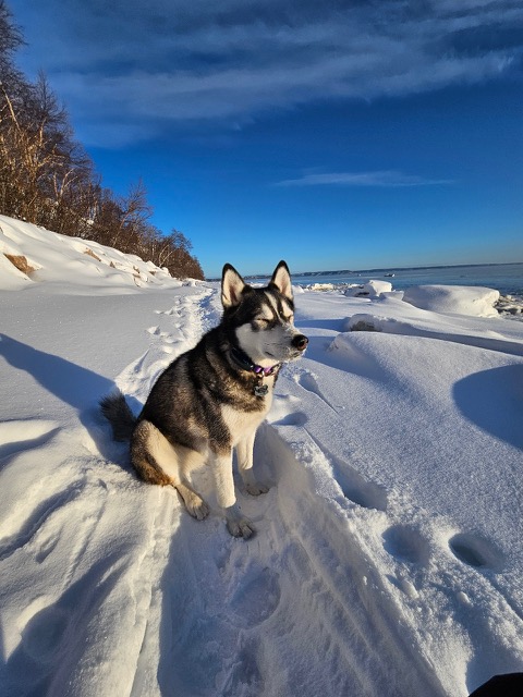 Alaska