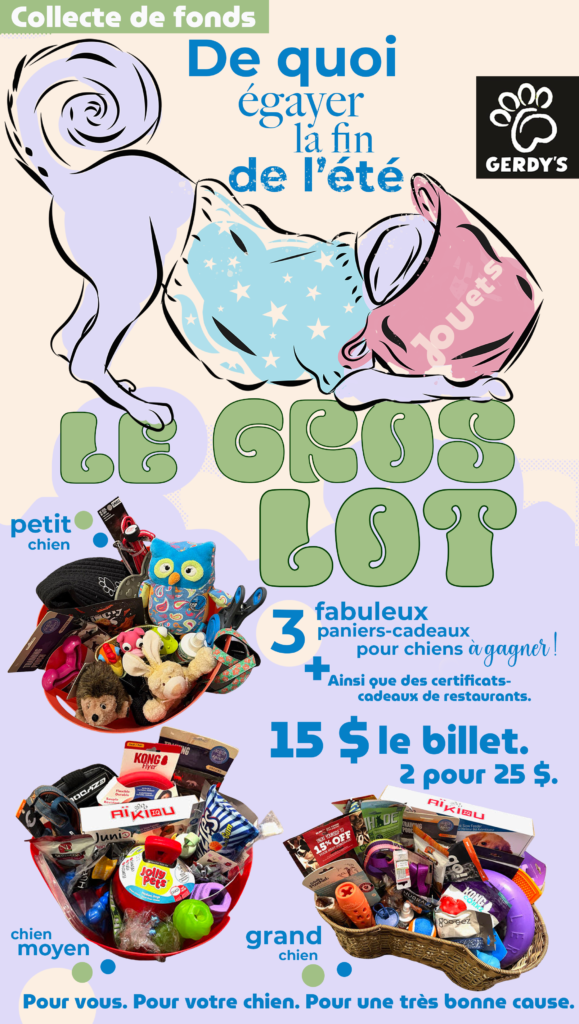 BIG SP FR WEB AD Final