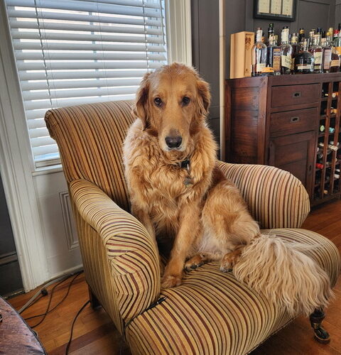 Balou