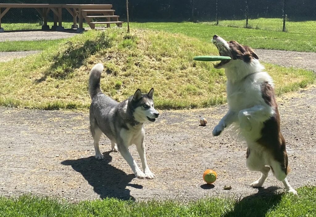 Einstein action