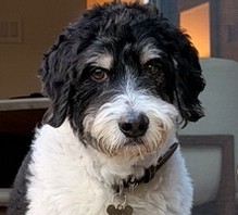 Elmo