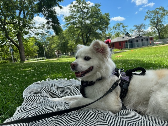 Gwen