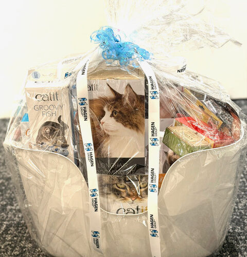 Win Our Nicest Cat Basket Ever!