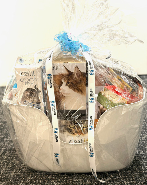 Win Our Nicest Cat Basket Ever!