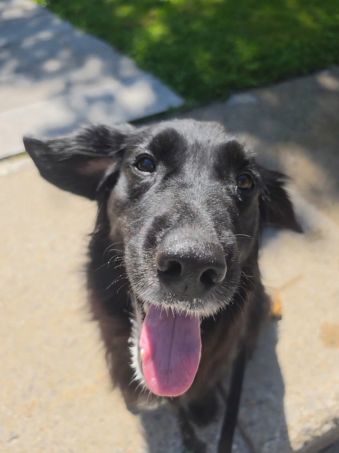 Luna
