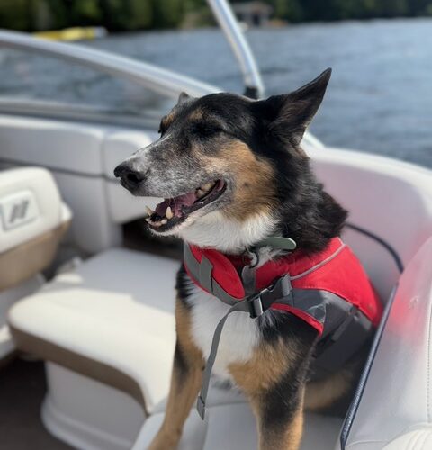 Maya