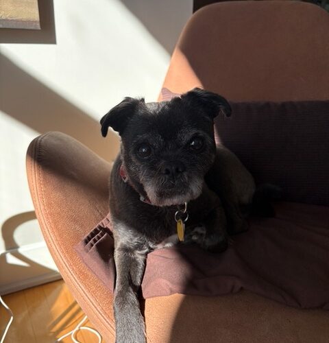 Reggie
