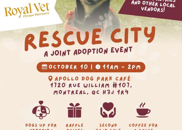 Rescue City
