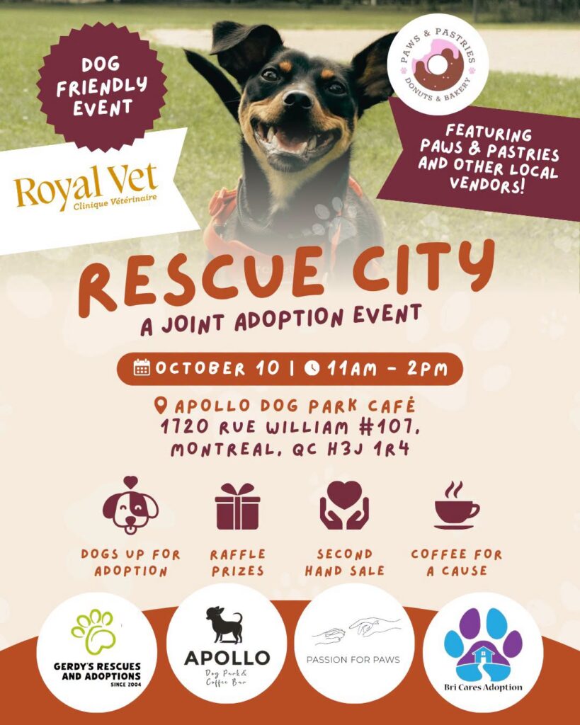 Rescue City